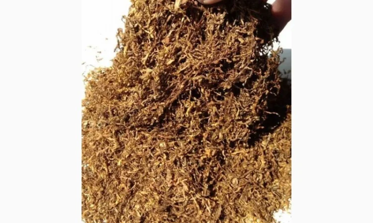 Запашний домашній тютюн без пилу – 600 грн за кг - фото № 1