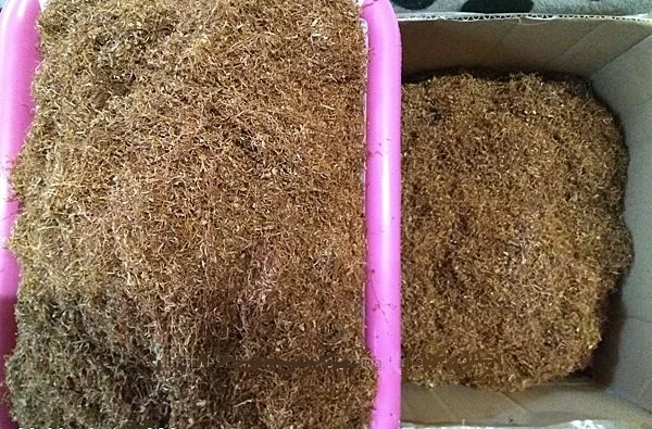 Запашний домашній тютюн без пилу – 600 грн за кг - фото № 4