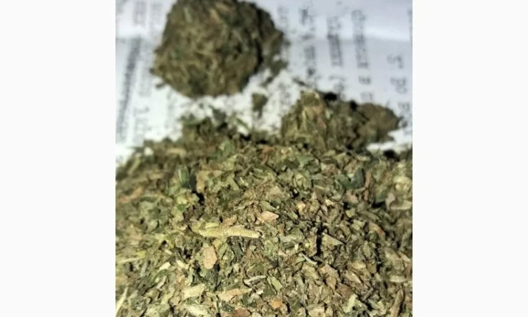 Табак домашний лапшой высокого качества недорого - фото № 2