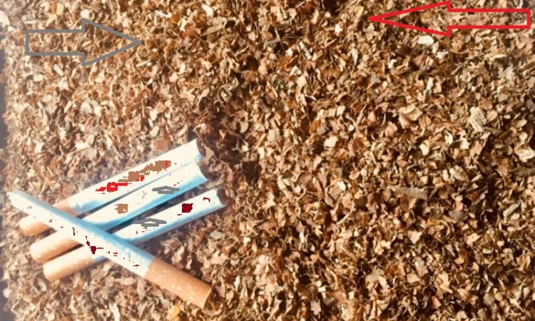 Домашний табак для самосадов - качественный и крепкий - фото № 1