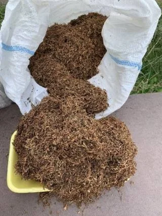 Домашний табак для самосадов - качественный и крепкий - фото № 3