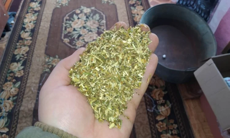 Домашний табак для самосадов - качественный и крепкий - фото № 5