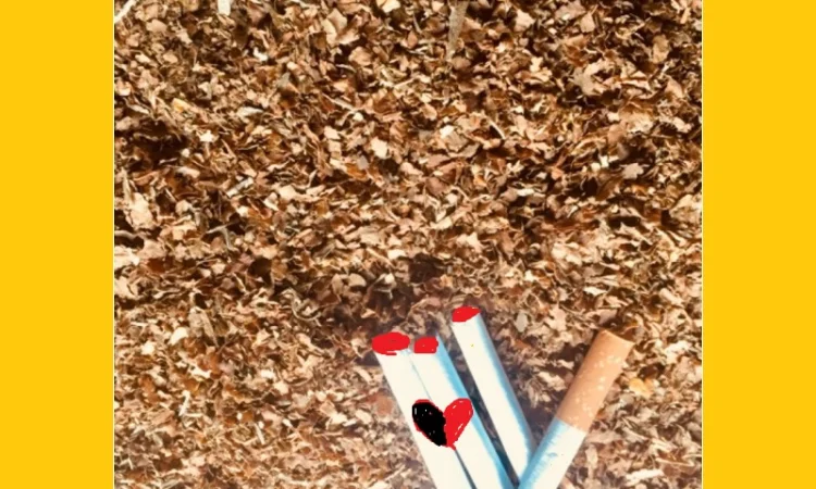 Табак Вирджиния и Берли, порезка хлопьями – 700 грн за кг - фото № 1