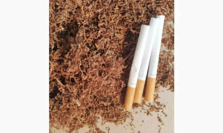 Лапша из табака для трубок и гильз - фото № 4