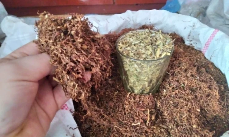 Натуральный табак без химии и добавок - фото № 2