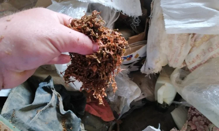 Натуральный табак без химии и добавок - фото № 4