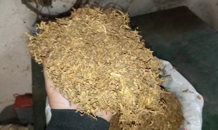 Табак Вірджінія для самосада – отличное качество - фото № 4