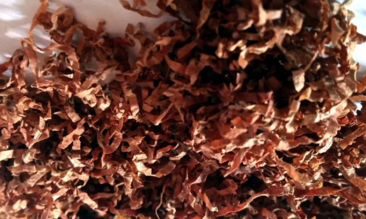 Домашний табак - Махорка, 700 грн за кг - фото № 1