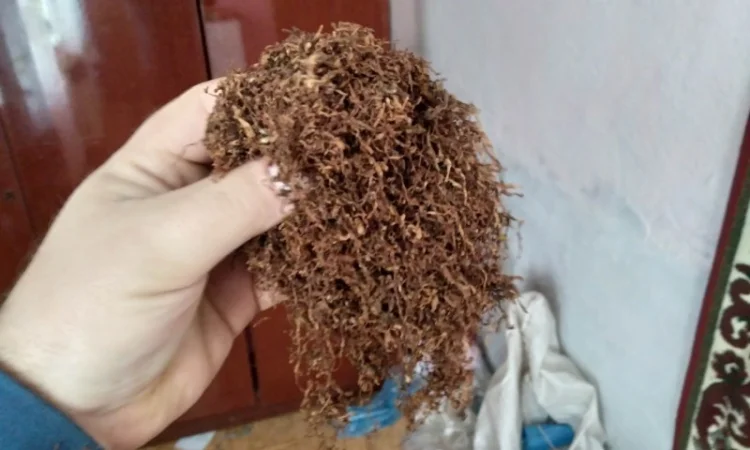 Тютюн дюбек - продажа - фото № 2