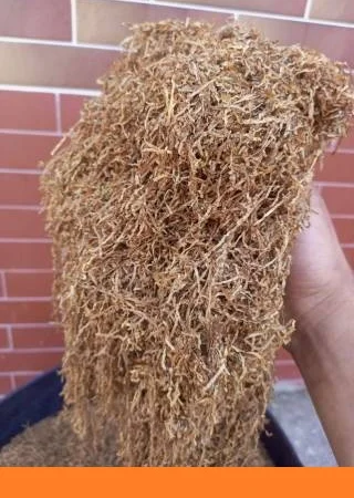 Тютюн порізка лапшою Берлі - качественный табак - фото № 1