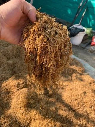 Тютюн порізка лапшою Берлі - качественный табак - фото № 2