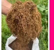 Табак порезка лапшою Берлі без мусора - фото № 1