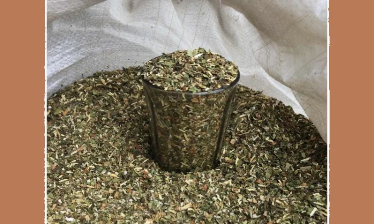 Махорка простая сельская - фото № 1