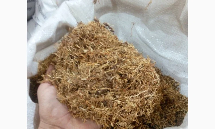 Свежий табак нарезка лапшой Берли - фото № 2