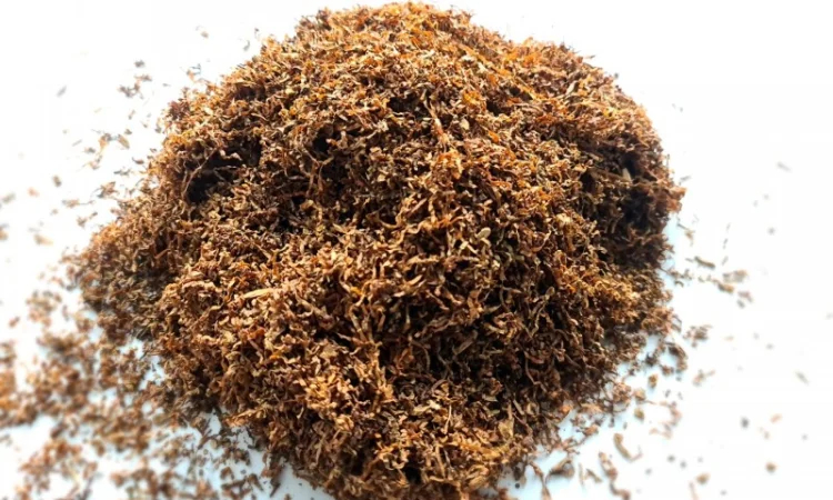 Свежий табак нарезка лапшой Берли - фото № 4