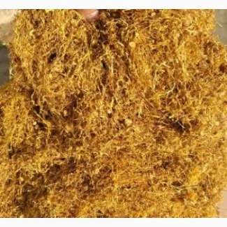 Табак Вирджиния классик и дюбек – 700 грн за кг в Ужгороде - фото № 2