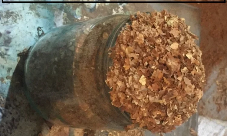 Табак домашний в наличии, Вирджиния и Берли, 100 грн/кг, не горчит - фото № 1