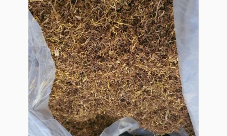 Тютюн лапшою короткою домашний без хімії Берлі і Вірджінія - фото № 2