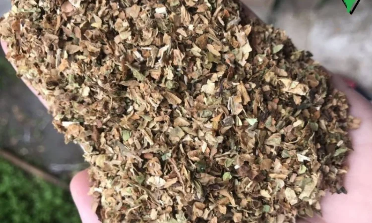 Табак в упаковке, сорт Вирджиния и Берли, цена 800 грн за кг - фото № 2