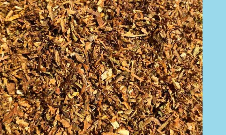 Табак по 600 грн – отличное предложение - фото № 1