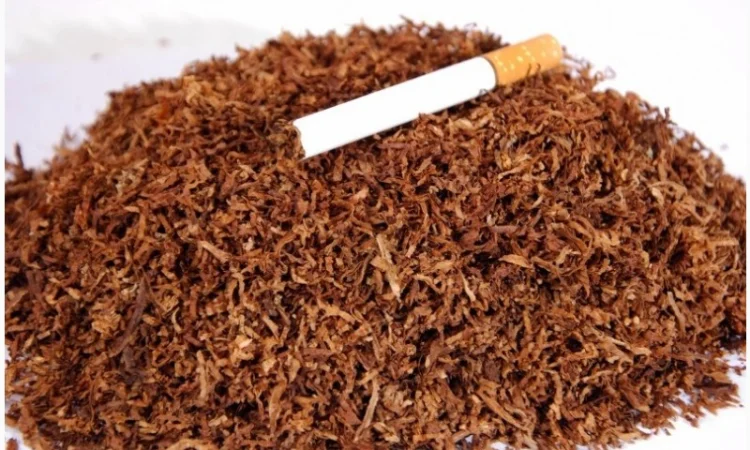 Табак без примесей, домашний, порезка лапша, дрова - фото № 5