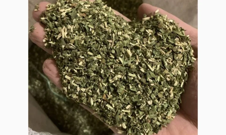 Берлі Вірджінія тютюн домашній – лапша 0.7мм, кровянка - фото № 1