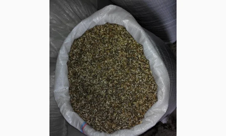 Берлі Вірджінія тютюн домашній – лапша 0.7мм, кровянка - фото № 5