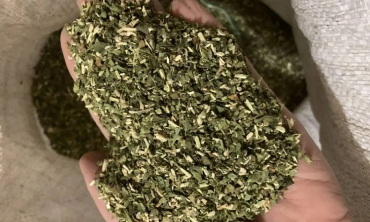 Свежий домашний табак, недорого - фото № 4