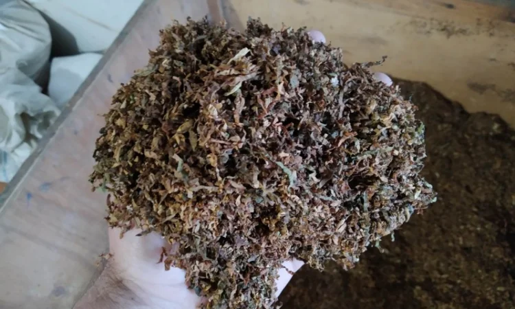 Ферментированный табак Вирджиния и Берли, отборный 700 грн за кг - фото № 4