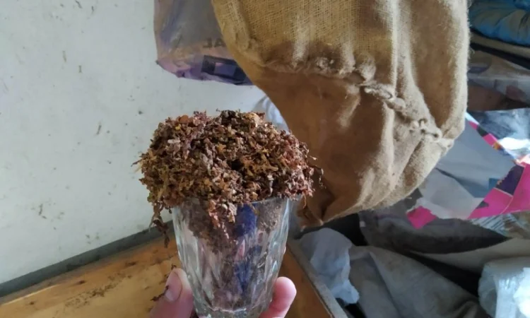 Ферментированный табак Вирджиния и Берли, отборный 700 грн за кг - фото № 5