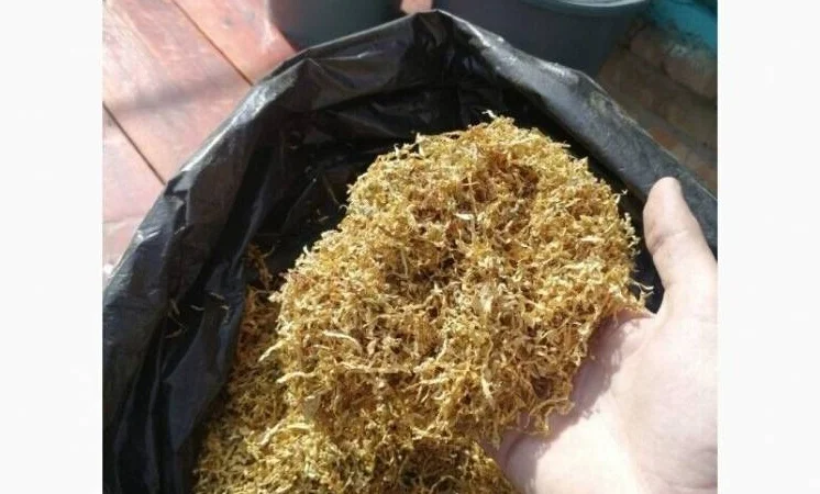 Самосад: крепкий и средний, в наличии Вирджиния и Берли - фото № 3