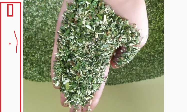 Махорка домашня ферментована, новий врожай Самосад - фото № 1