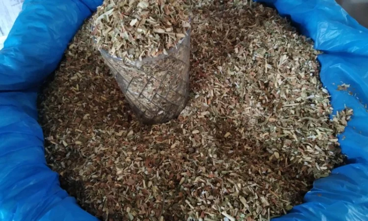 Домашній самосад – свіжий врожай - фото № 2