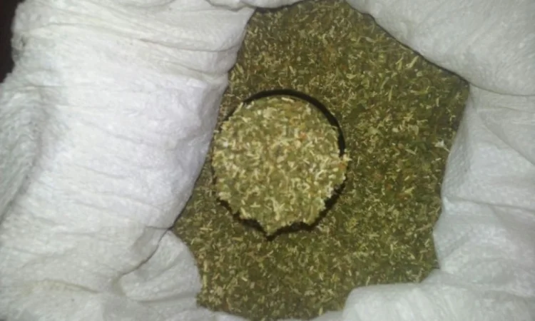 Махорка дідова гальорка – качественный табак - фото № 1