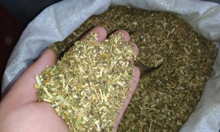 Махорка дідова гальорка – качественный табак - фото № 2