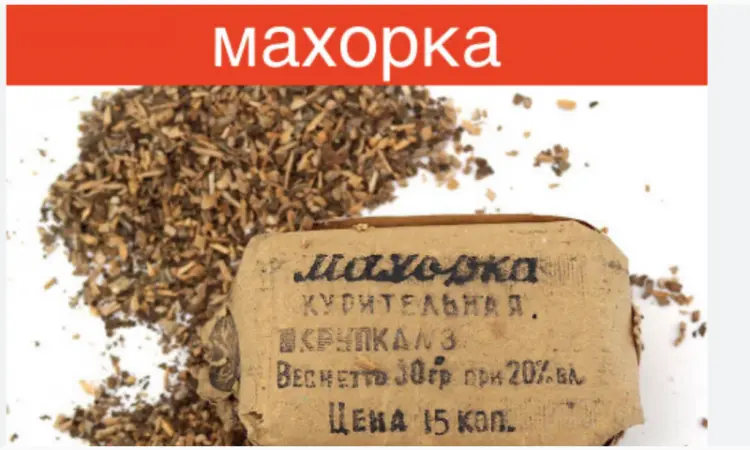 Махорка не вонюча а пахуча тільки в Україні - фото № 1