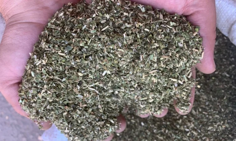 Махорка тютюн вищого сорту - фото № 1