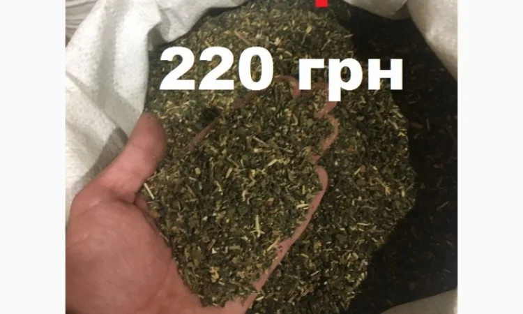 Крепкий и ароматный табак самосад - фото № 1