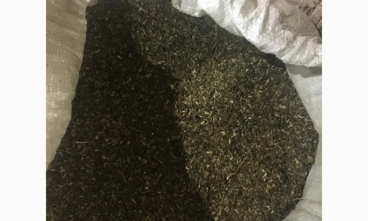 Продается домашний табак самосад 1 кг - фото № 1