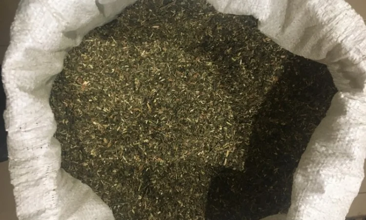 Табак оптом и в розницу Махорка по низким ценам - фото № 1