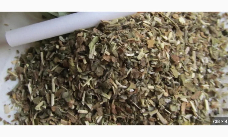 Якісний самосад - домашня махорка - фото № 1