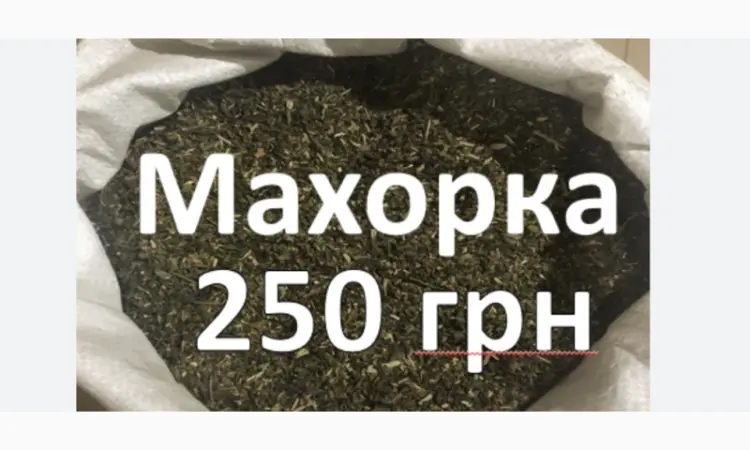 Махорка табак - фото № 1