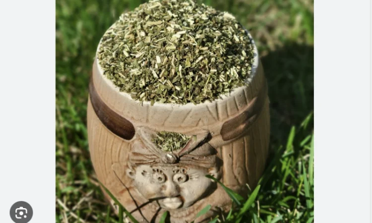 Крепкая и ароматная махорка 2025 года - фото № 1