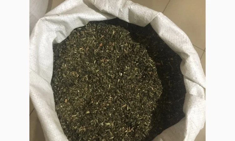 Самосад Махорка для самокруток - фото № 1