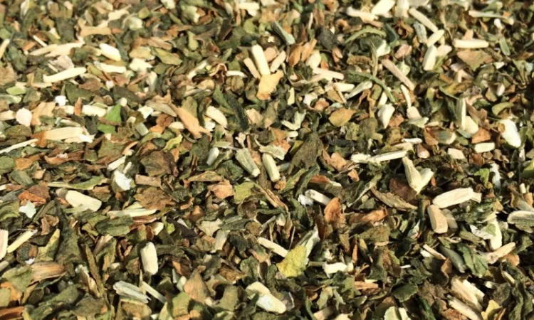 Махорка нового урожая 2025 года - фото № 1