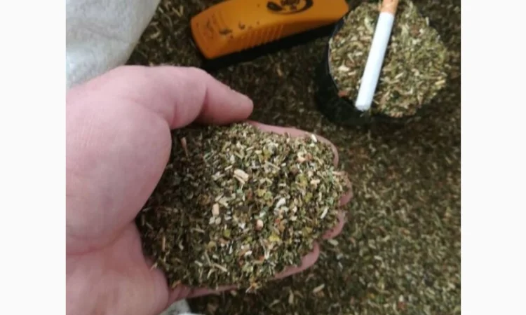 Продажа качественной махорки урожая 2025 года - фото № 1