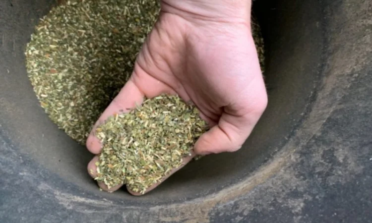 Продаж махорки (Укр Пошта) оптом та в розницу - фото № 1