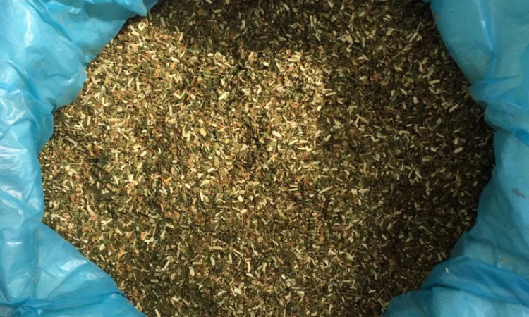 Пропонується махорка вищого сорту без гіркоти і пилу - фото № 1