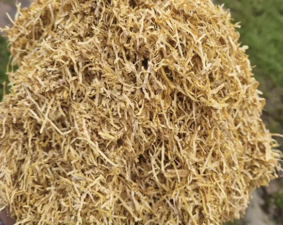 Продается табак Вирджиния Голд ферментированный Легкий - фото № 1