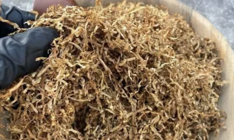 Тютюн. Продажа от 500 грамм - фото № 1